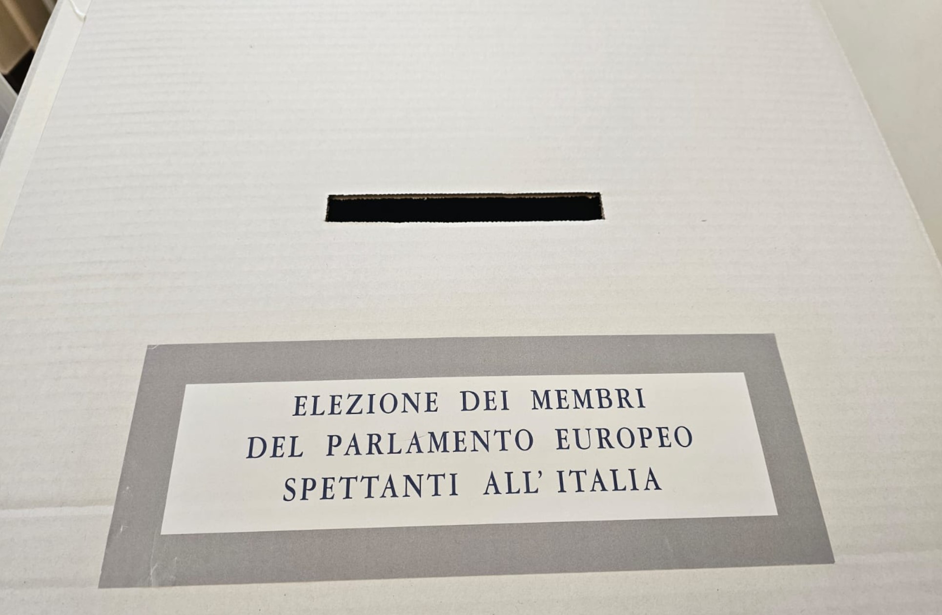 Europee 2024 Le Prime Proiezioni Fratelli D Italia Si Conferma Prima