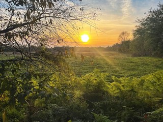 Tramonto al Parco Alto Milanese, foto di Anna Tori