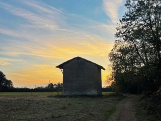 Tramonto al Parco Alto Milanese, foto di Anna Tori