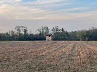 Tramonto al Parco Alto Milanese, foto di Anna Tori