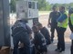Gasolio e carburanti &quot;miscelati&quot;, scatta il sequestro della Guardia di Finanza di Como