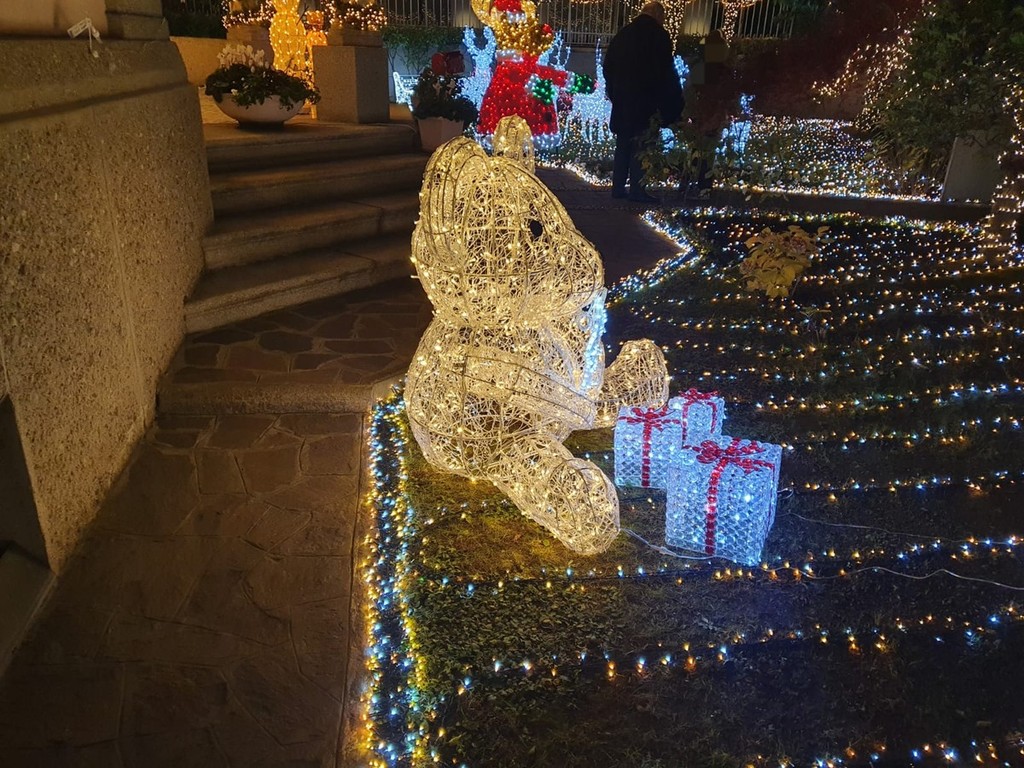 FOTO E VIDEO Si accende la “Casa delle lucine” di Busto. Una magia