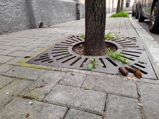 Via Caduti costellata di escrementi, proprio vicino alla scuola