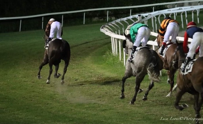 Nella foto di Luca Leone un momento spettacolare all'ippodromo di Varese