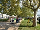 CHE FARE NEL WEEKEND. La Festa della Zucca, AgriMornago, la Giornata della Meraviglia e tanti altri appuntamenti dei prossimi tre giorni