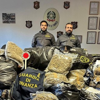 La droga sequestrata al confine con la Svizzera dalla Guardia di Finanza di Como