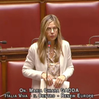 Peste suina, Gadda (Iv): «Serve cambio di passo. Per il governo sembra che l’emergenza sia iniziata oggi»