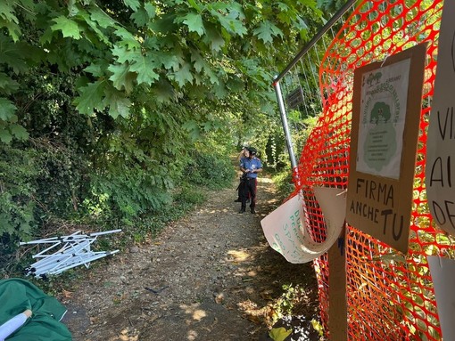 Il bosco di via Curtatone a Gallarate