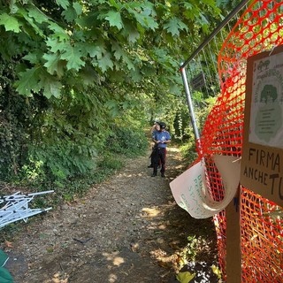 Il bosco di via Curtatone a Gallarate