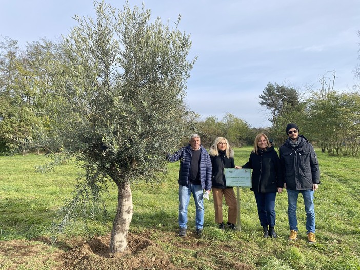 “Le radici nel domani”: cinque alberi al Parco De Curtis per celebrare i nuovi nati di Busto