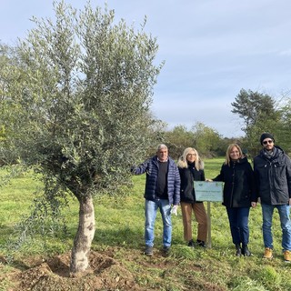 “Le radici nel domani”: cinque alberi al Parco De Curtis per celebrare i nuovi nati di Busto