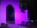 Castellanza, nel mese di ottobre  l’arco del parco dei Platani si colora di rosa