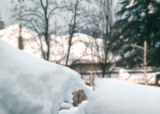 La neve a Busto nel gennaio 1985 (foto Angelo Ferrario)