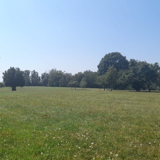 Il parco della Magana a Cassano Magnago