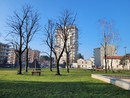 Castellanza, in corso le manutenzioni straordinarie delle aree verdi cittadine