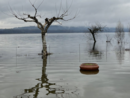 Il lago a pochi centimetri dalla strutture della Canottieri Varese