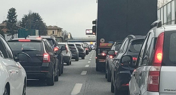 Un cane fa lo slalom tra le auto, traffico sulla superstrada della Malpensa