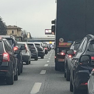 Un cane fa lo slalom tra le auto, traffico sulla superstrada della Malpensa