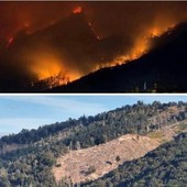 IERI E OGGI. Il Campo dei Fiori in fiamme sette anni fa e come lo ritroviamo oggi negli stessi punti devastati dall'incendio nelle immagini di Alessandro Umberto Galbiati