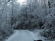 Parco Valle del Lanza: (foto Diego Boldini da La Varese Nascosta)