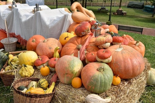 CHE FARE NEL WEEKEND. Un fine settimana d'ottobre: zucche, funghi, visite guidate e attività nella natura