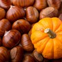 Spadroneggiano zucca, castagne e musica. Gli APPUNTAMENTI DEL WEEKEND a Busto e in Valle Olona