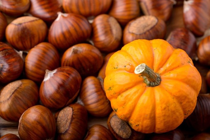 Spadroneggiano zucca, castagne e musica. Gli APPUNTAMENTI DEL WEEKEND a Busto e in Valle Olona