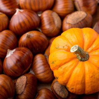 Spadroneggiano zucca, castagne e musica. Gli APPUNTAMENTI DEL WEEKEND a Busto e in Valle Olona