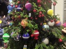 FOTO. A Castellanza l'albero per la pace è di tutti i bambini