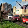 Albero su auto vicino al mercato: cronaca di una caduta annunciata