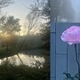 Il tramonto sull'Olona, viale Lombardia a Busto nella nebbia e una rosa in città