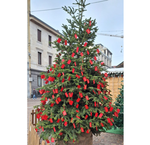 Borse di studio e Albero dei nuovi nati: Gallarate celebra giovani e famiglie