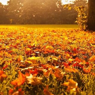 Ultimo giorno di caldo anomalo. Da domani calo termico e forse un po' di pioggia