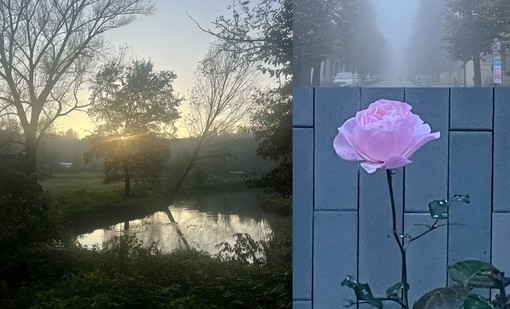 Il tramonto sull'Olona, viale Lombardia a Busto nella nebbia e una rosa in città