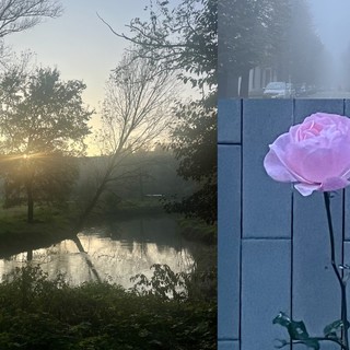 Il tramonto sull'Olona, viale Lombardia a Busto nella nebbia e una rosa in città