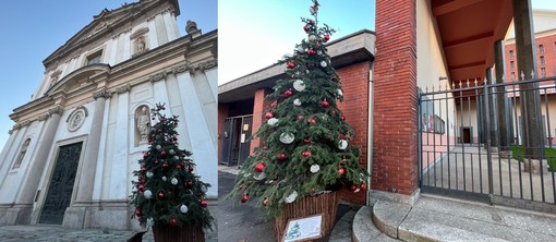 Aspettando le luci, Busto si colora di alberi