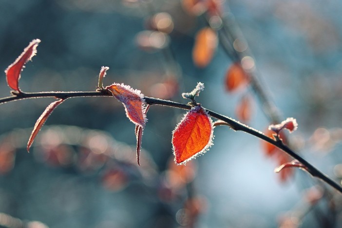 Settimana prossima ci sveglieremo in provincia con la prima brina autunnale