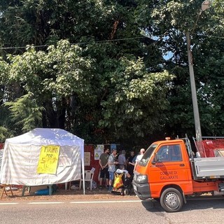 FOTO. Gallarate, bosco di via Curtatone: smantellati i manufatti abusivi all’interno dell’area