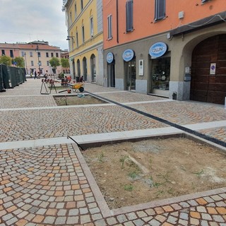 Busto, primi passi nella nuova via Cavallotti