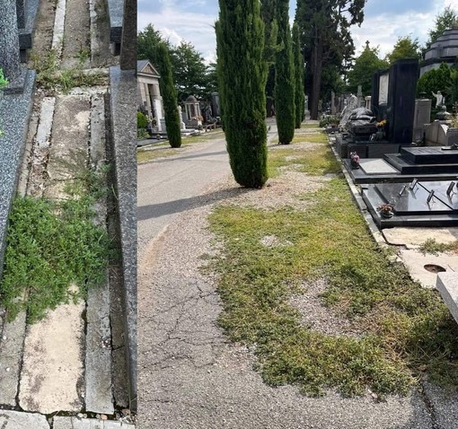 La protesta per lo stato del cimitero di Busto: «Totale noncuranza»