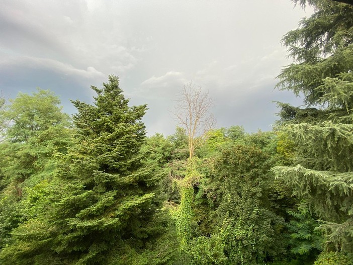 Il cielo sopra Varese di questa mattina, lunedì 26 agosto