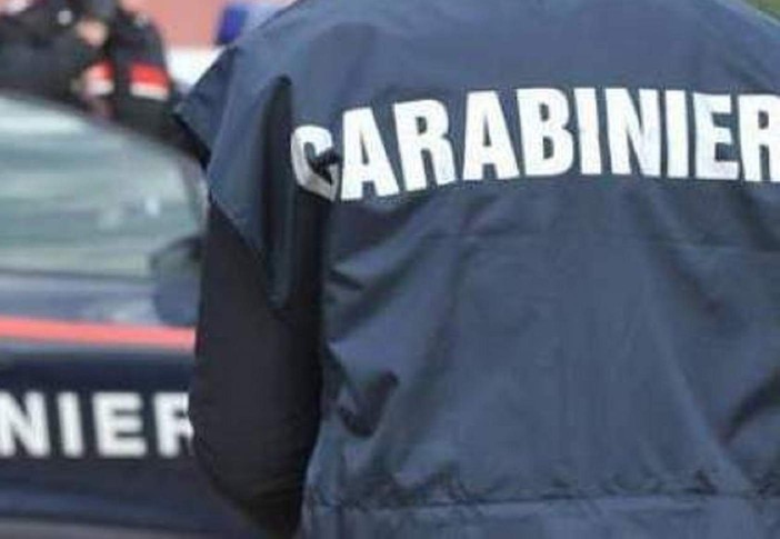 Furti di rame e di attrezzi agricoli, un arresto: colpi anche nel Varesotto