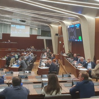 Il Consiglio regionale approva all'unanimità l'ordine del giorno sul problema dei giovani detenuti nelle carceri lombarde