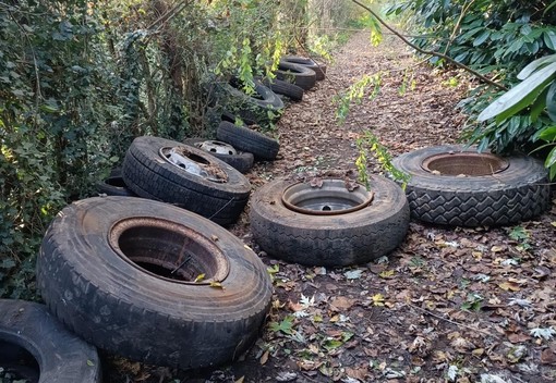 Gli incivili colpiscono ancora: i boschi di Borsano trasformati in una discarica di gomme