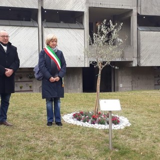 Castellanza ricorda le 56 vittime del Covid. «La battaglia non è ancora vinta»