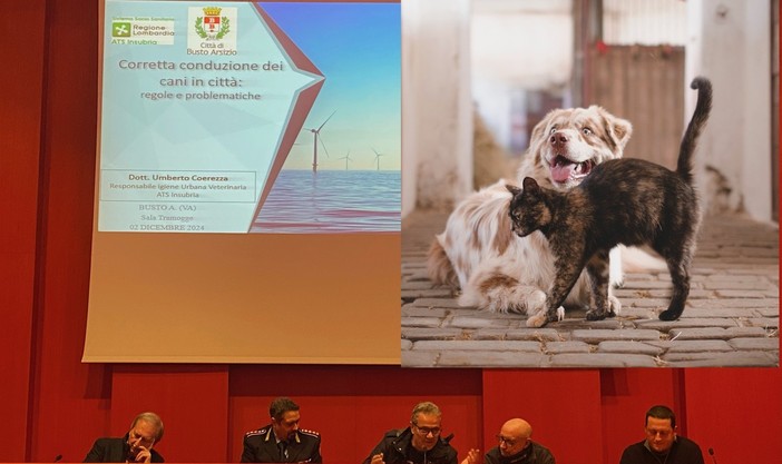 Cento cani per chilometro quadrato (e chissà quanti gatti): ecco come rispettare la loro natura e le regole