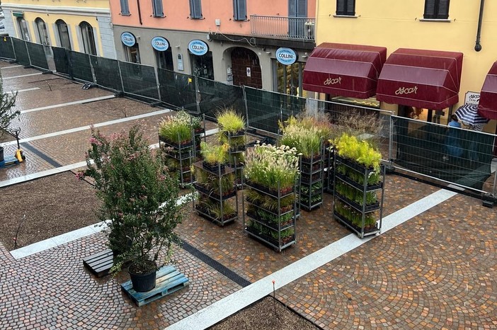 Via Cavallotti, arrivano le piante. Al lavoro sotto la pioggia