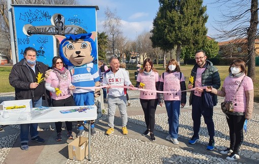 Una camminata e una cintura rosa. Il Csk riflette su conquiste e violenze contro le donne