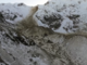 VIDEO. Grossa frana sul Monte Rosa: le immagini del versante visto dal drone