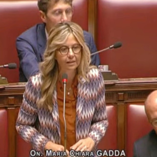 Ddl sicurezza, Gadda: «Governo cancella settore canapa industriale»